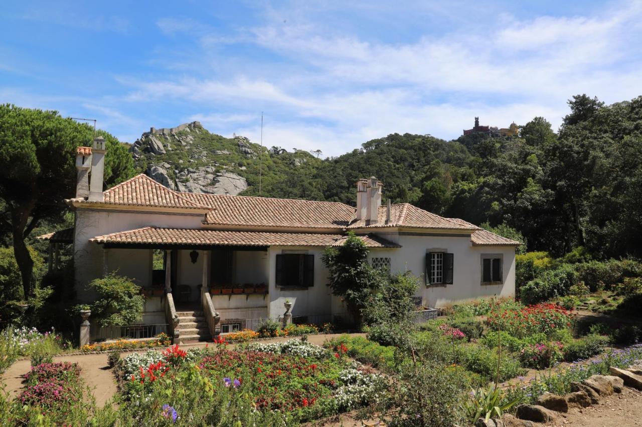 Chalet Chapeu De Sol - Sintra Buitenkant foto