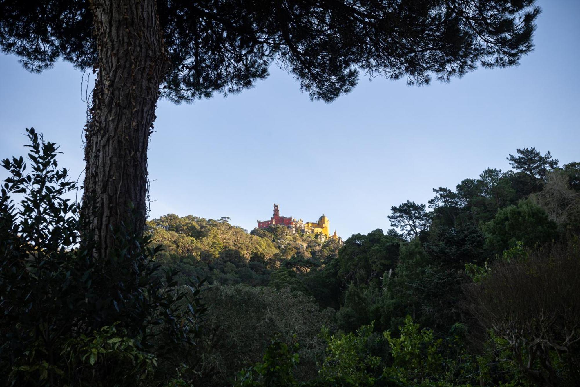 Chalet Chapeu De Sol - Sintra Buitenkant foto